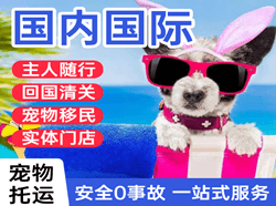 连云港航空运输国际宠物托运 【国